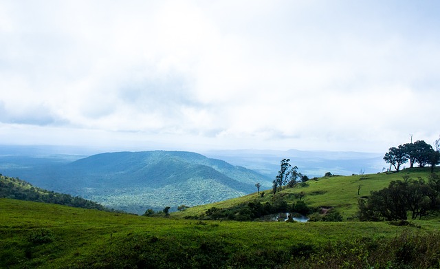 进亚冠精英附加赛！北京国安夺杯赛冠军！完胜河南队！法比奥戴帽